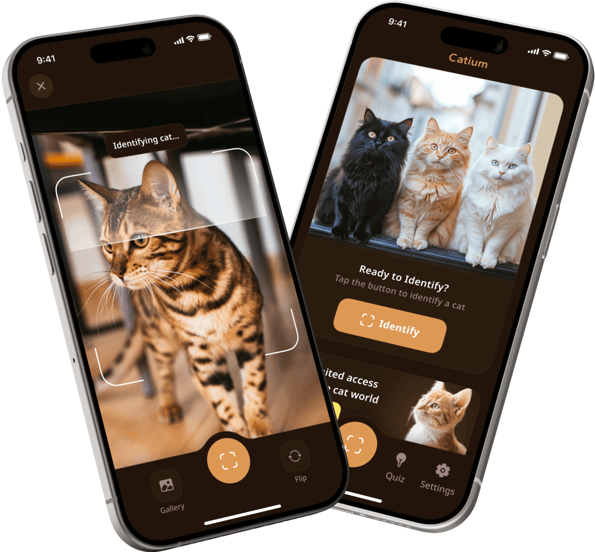 Preview of the Catium mobile app