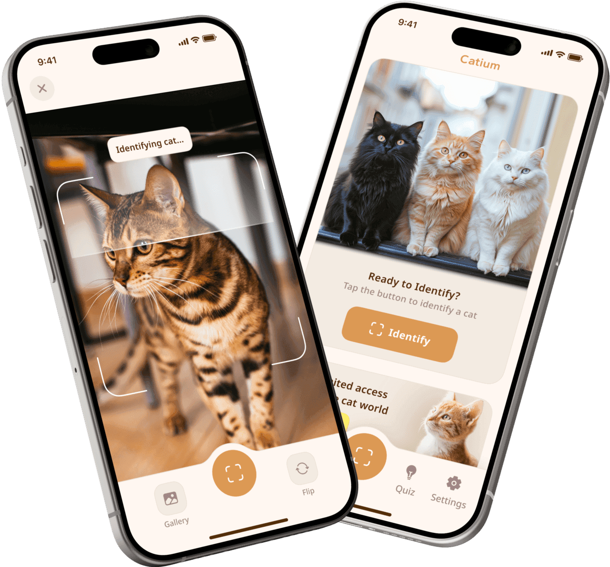Preview of the Catium mobile app