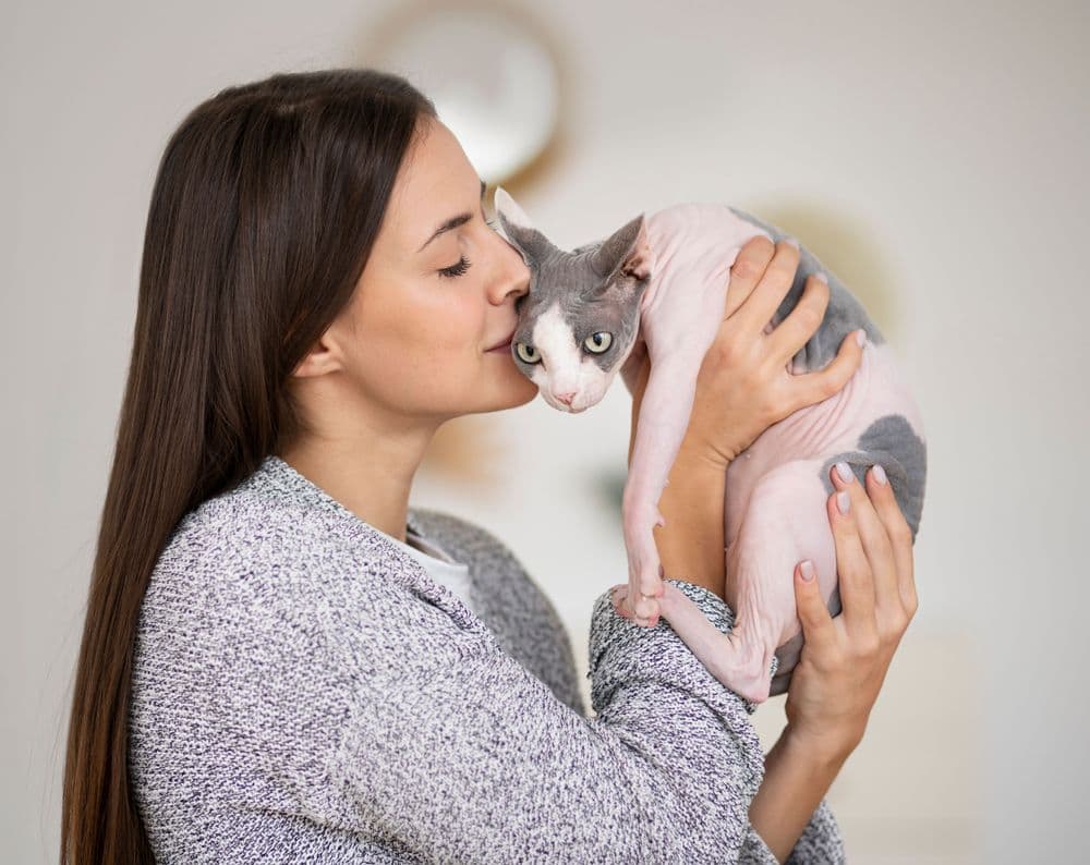 A Sphynx cat in a girl's arms
